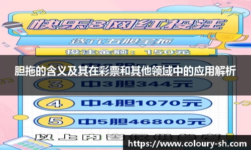 胆拖的含义及其在彩票和其他领域中的应用解析